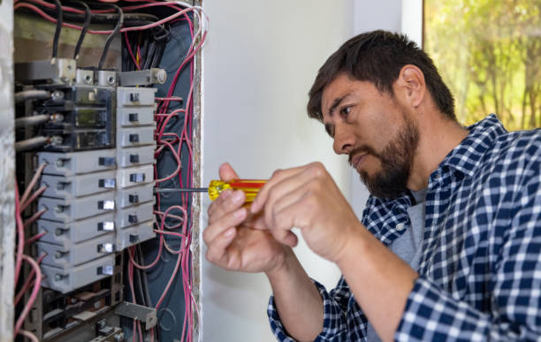 Best Local Electrician Companies  in Burgaw, NC